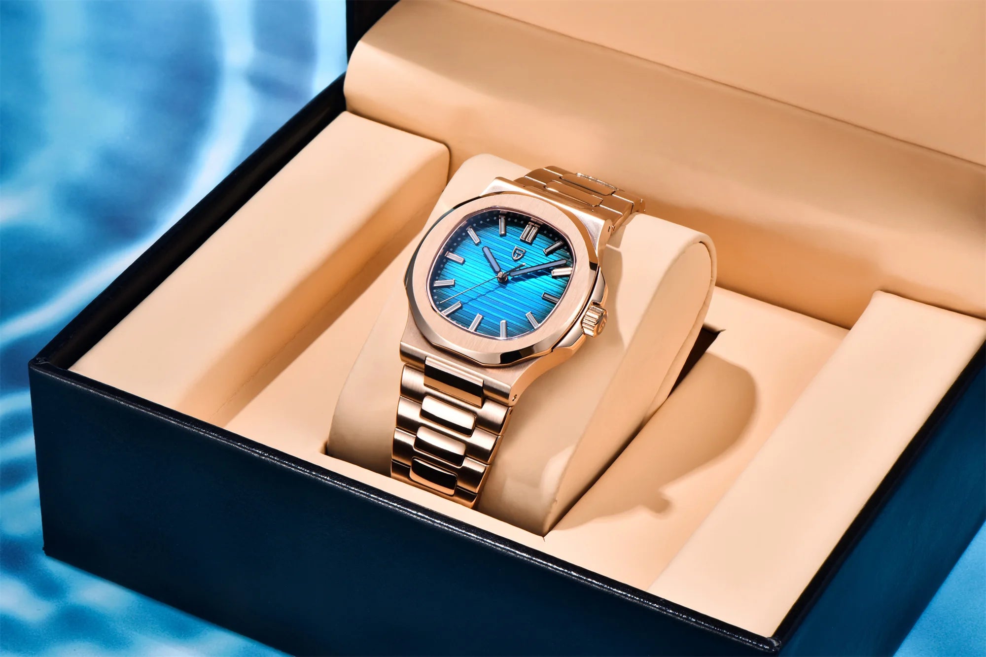 PAGANI DESIGN Men’s Mechanical Watch – Sapphire Crystal