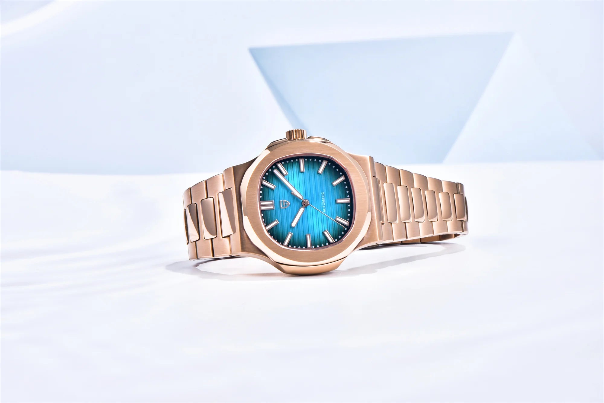 PAGANI DESIGN Men’s Mechanical Watch – Sapphire Crystal