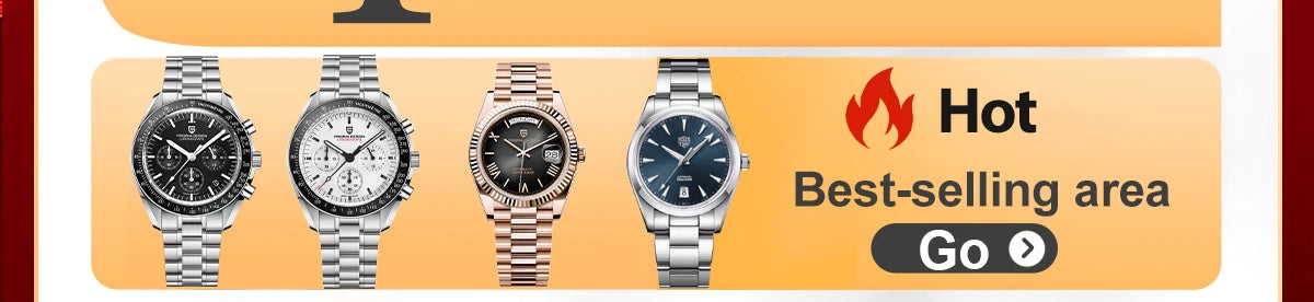 PAGANI DESIGN Men’s Mechanical Watch – Sapphire Crystal